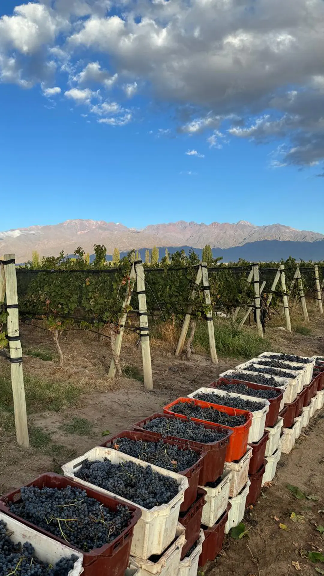 Finca Las Glicinas